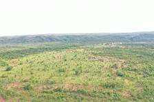 Fazenda em Rosario Oeste