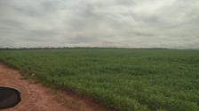 Fazenda em Paranatinga Fazenda em Paranatinga