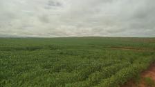 Fazenda em Paranatinga Fazenda em Paranatinga