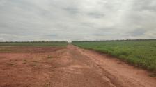 Fazenda em Paranatinga Fazenda em Paranatinga