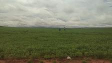 Fazenda em Paranatinga Fazenda em Paranatinga