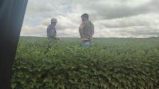 Fazenda em Paranatinga Fazenda em Paranatinga
