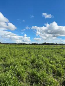 Fazenda em Cuiaba Fazenda em Cuiaba