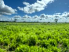 Fazenda em Cuiaba Fazenda em Cuiaba