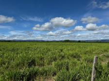 Fazenda em Cuiaba Fazenda em Cuiaba
