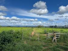 Fazenda em Cuiaba Fazenda em Cuiaba