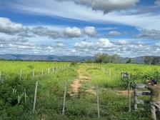 Fazenda em Cuiaba Fazenda em Cuiaba