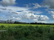Fazenda em Cuiaba Fazenda em Cuiaba