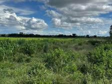 Fazenda em Cuiaba Fazenda em Cuiaba