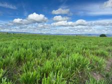 Fazenda em Cuiaba Fazenda em Cuiaba