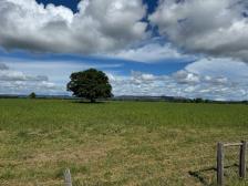 Fazenda em Cuiaba Fazenda em Cuiaba