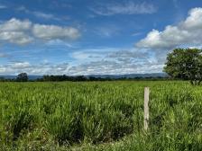 Fazenda em Cuiaba Fazenda em Cuiaba