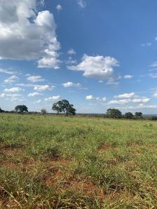 Fazenda em Acorizal Fazenda em Acorizal
