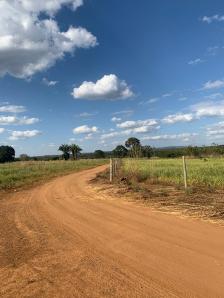 Fazenda em Acorizal Fazenda em Acorizal