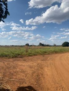 Fazenda em Acorizal Fazenda em Acorizal