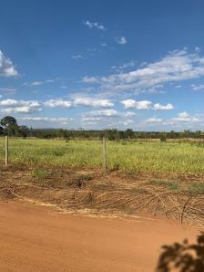 Fazenda em Acorizal Fazenda em Acorizal
