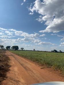 Fazenda em Acorizal Fazenda em Acorizal