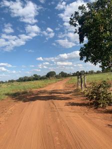 Fazenda em Acorizal Fazenda em Acorizal