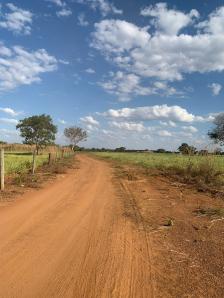 Fazenda em Acorizal Fazenda em Acorizal