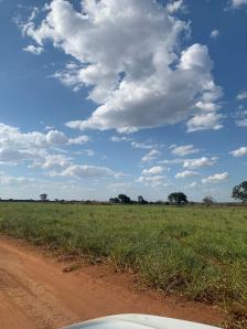 Fazenda em Acorizal Fazenda em Acorizal