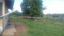 Fazenda em Acorizal Fazenda em Acorizal