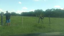 Fazenda em Acorizal Fazenda em Acorizal