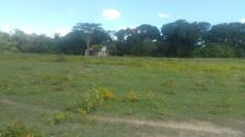 Fazenda em Acorizal Fazenda em Acorizal