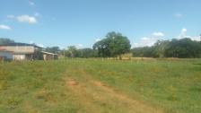 Fazenda em Acorizal Fazenda em Acorizal