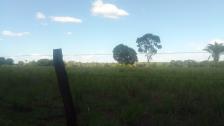 Fazenda em Acorizal Fazenda em Acorizal