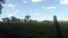 Fazenda em Acorizal Fazenda em Acorizal