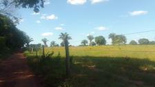 Fazenda em Acorizal Fazenda em Acorizal