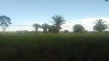 Fazenda em Acorizal Fazenda em Acorizal