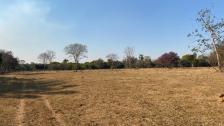 Fazenda em Acorizal Fazenda em Acorizal