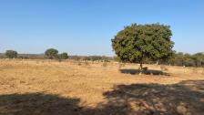 Fazenda em Acorizal Fazenda em Acorizal