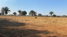 Fazenda em Acorizal Fazenda em Acorizal