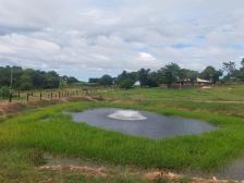 Fazenda em Acorizal Fazenda em Acorizal