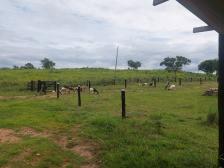 Fazenda em Acorizal Fazenda em Acorizal
