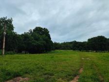 Fazenda em Rosario Oeste Fazenda em Rosario Oeste