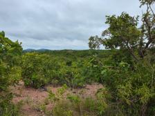 Fazenda em Rosario Oeste Fazenda em Rosario Oeste