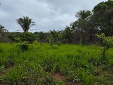 Fazenda em Rosario Oeste Fazenda em Rosario Oeste