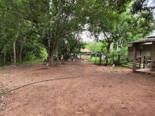 Fazenda em Rosario Oeste Fazenda em Rosario Oeste