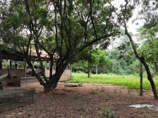 Fazenda em Rosario Oeste Fazenda em Rosario Oeste
