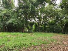 Fazenda em Rosario Oeste Fazenda em Rosario Oeste