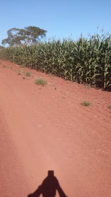Chacara em Jaciara
