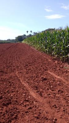 Chacara em Jaciara