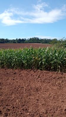 Chacara em Jaciara