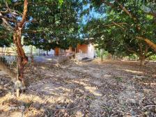 Fazenda em N. S. Livramento