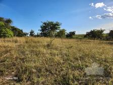 Fazenda em N. S. Livramento