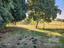 Fazenda em N. S. Livramento