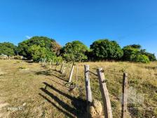 Fazenda em N. S. Livramento